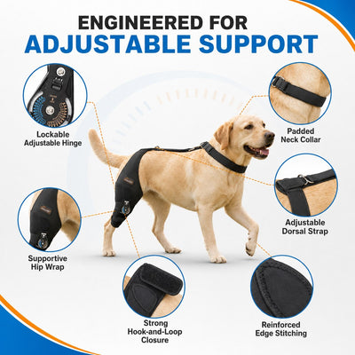 Adjustable Hinged Dog Knee Brace