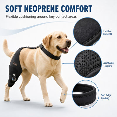 Adjustable Hinged Dog Knee Brace