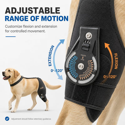 Adjustable Hinged Dog Knee Brace