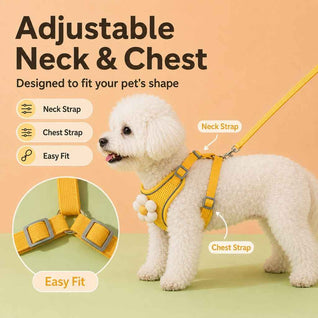 Komavic Daisy Pet Harness & Leash Set – Small Dogs & Cats