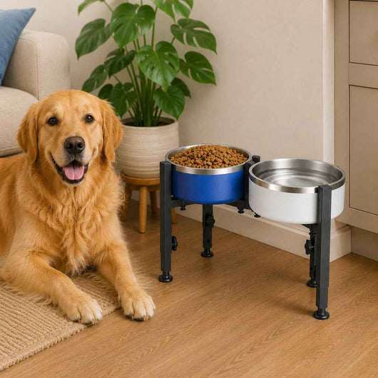 Paws in Awe Adjustable Raised Dog Bowl Stand for Home Feeding - No-Bend Metal Pet Bowl Holder for Cleaner, More Comfortable Meals