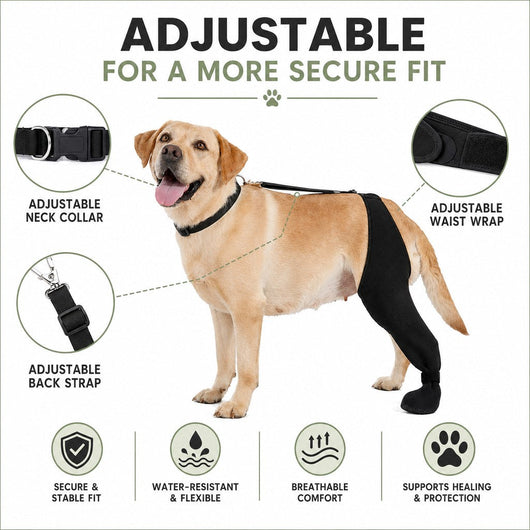 Adjustable Dog Rear Leg Recovery Sleeve with Paw Cover