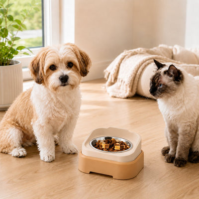Elevated Slow Feeder Pet Bowl