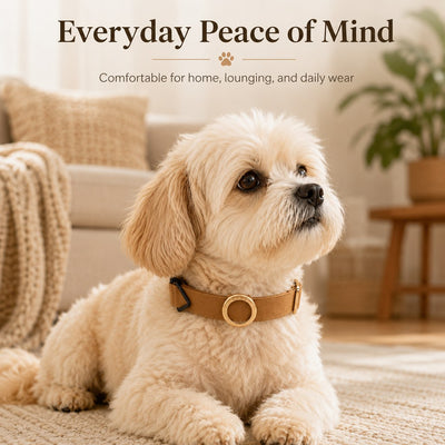 AirTag Compatible Pet Collar Holder