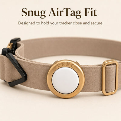 AirTag Compatible Pet Collar Holder