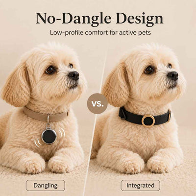 AirTag Compatible Pet Collar Holder
