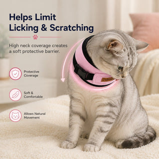 Komavic Soft Cat Recovery Collar with Adjustable Buckle
