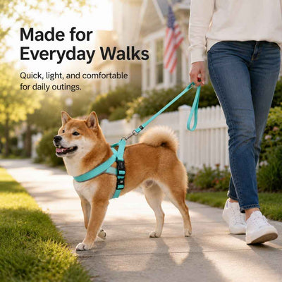 Paws in Awe Quick-Fit Lightweight Dog Harness & Leash Set for Daily Walks - No-Choke Step-In Comfort with Secure Buckle & Back Control Handle
