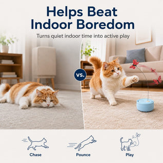 Komavic Automatic Butterfly Cat Toy 360° Chase & Play