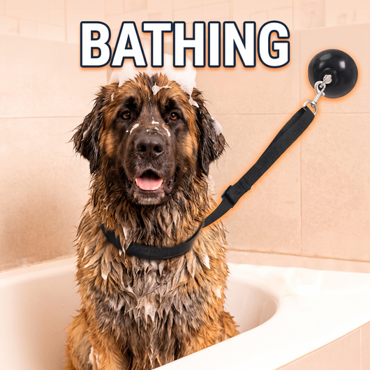 Hands-Free Dog Bathing & Grooming Suction Cup Tether - Less Chasing, Easier At-Home Grooming