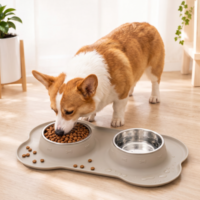 Spill-Proof Dual Pet Bowl with Raised Silicone Mat