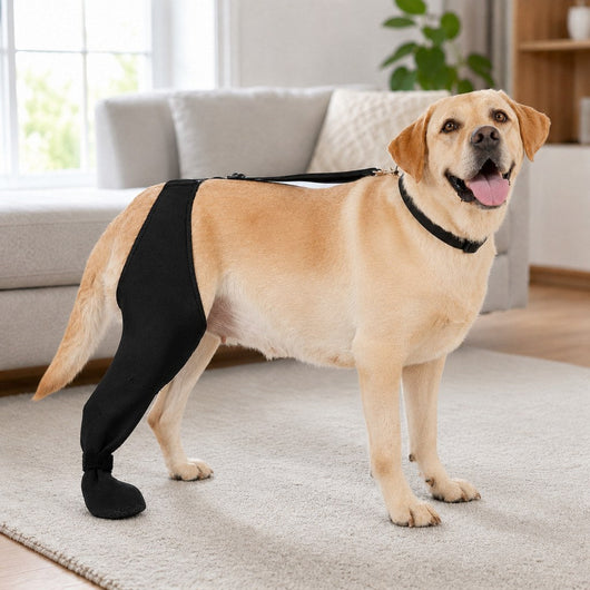 Adjustable Dog Rear Leg Recovery Sleeve with Paw Cover