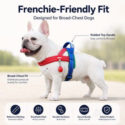 Komavic No-Choke French Bulldog Harness & Leash Set