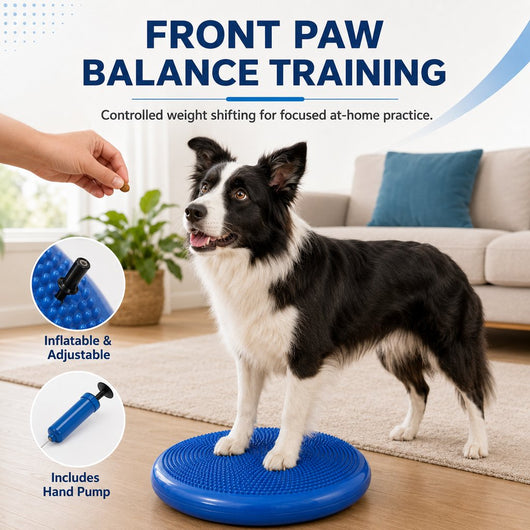 Komavic Dog Balance Disc At-Home Coordination Training