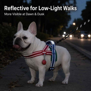 Komavic No-Choke French Bulldog Harness & Leash Set