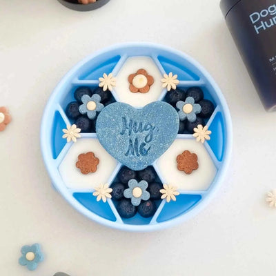 Slow Feeder Dog Bowl – Anti-Choke Feeding Bowl