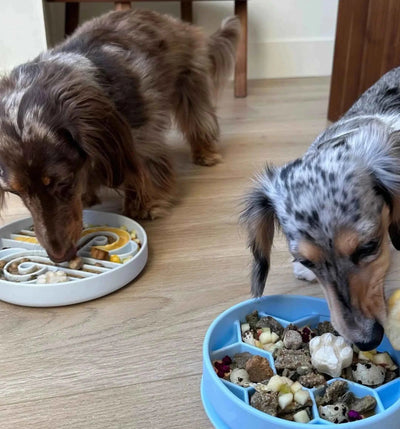 Slow Feeder Dog Bowl – Anti-Choke Feeding Bowl