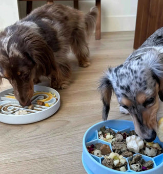 Slow Feeder Dog Bowl – Anti-Choke Slow Feeding Bowl