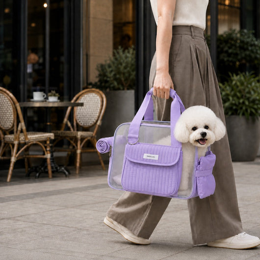 Komavic Breathable Mesh Pet Carrier Tote