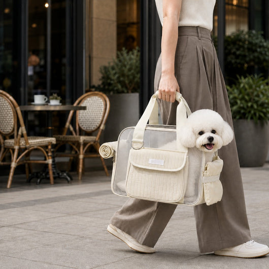 Komavic Breathable Mesh Pet Carrier Tote