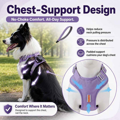 Paws in Awe 2-in-1 Retractable Dog Harness for Daily Walks - Built-In Leash Vest with Auto-Stop Control for Small & Medium Dogs