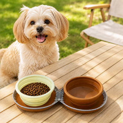 Collapsible Pet Travel Bowl with 2-in-1 Food & Water Design