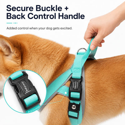 Komavic Quick-Fit Dog Harness & Leash Set