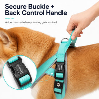 Komavic Quick-Fit Dog Harness & Leash Set