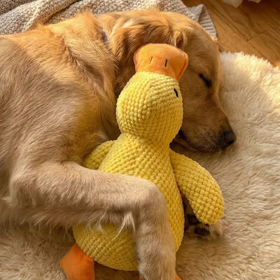 Komavic Quacking Duck Plush Dog Toy
