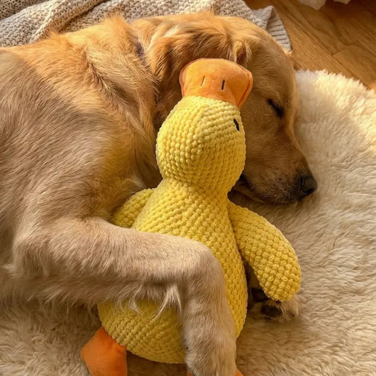 Komavic Quacking Duck Plush Dog Toy