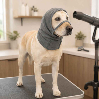 Paws in Awe Calming Dog Hood with Clear Viewing Panel, Gentle Head & Neck Wrap for Grooming, Thunderstorms, Fireworks & Travel Comfort