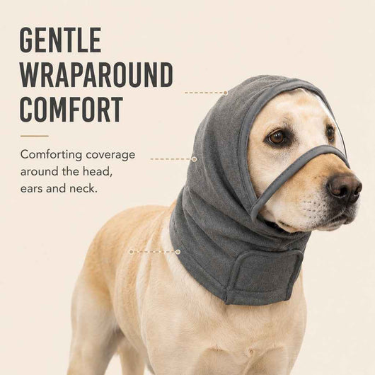 Paws in Awe Calming Dog Hood with Clear Viewing Panel, Gentle Head & Neck Wrap for Grooming, Thunderstorms, Fireworks & Travel Comfort