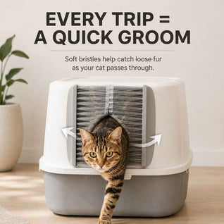 Komavic Cat Litter Box Self-Grooming Brush Door – Automatic Loose Fur Catcher for Enclosed Litter Boxes & Cleaner Homes, 2-Piece Set