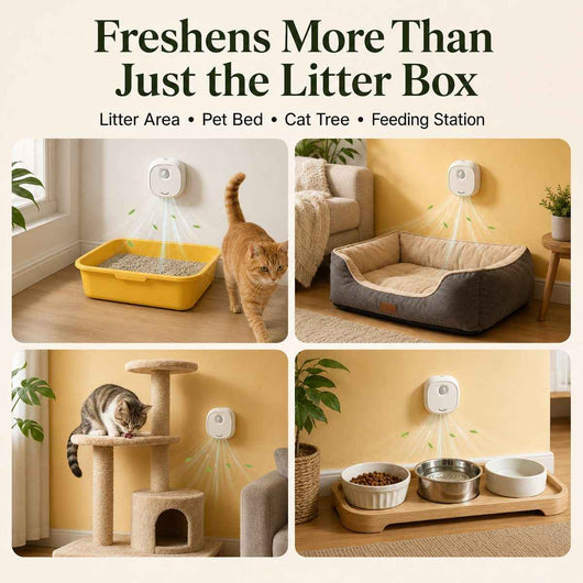Smart Cat Litter Box Deodorizer with Motion Sensor