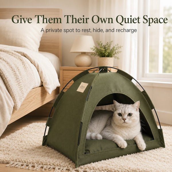Komavic Cat Tent Bed Cozy Foldable Hideaway