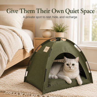 Komavic Cat Tent Bed Cozy Foldable Hideaway