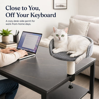 Komavic Clamp-On Cat Perch Desk Bed & Scratching Post