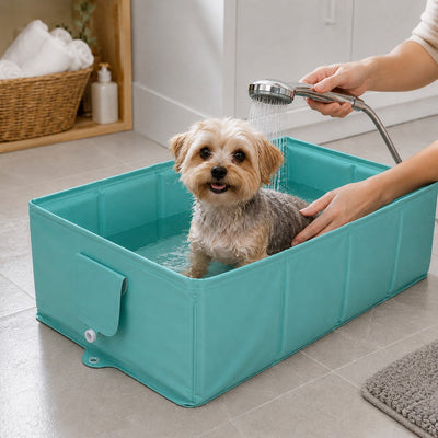 Aqua Teal