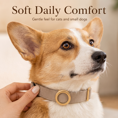 AirTag Compatible Pet Collar Holder