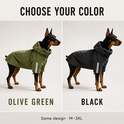 Komavic All-Weather Dog Trail Jacket — Removable Hood