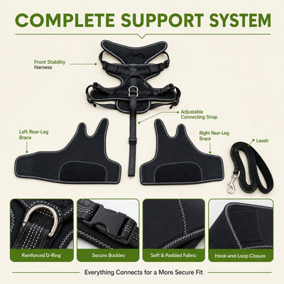 Komavic Dual Rear Leg Dog Support Brace with Harness