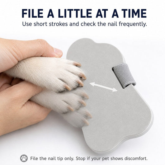 Komavic Pet Nail File Blade-Free