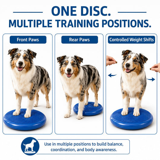 Komavic Dog Balance Disc At-Home Coordination Training
