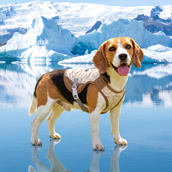 Dog Cooling Vest for Summer Comfort