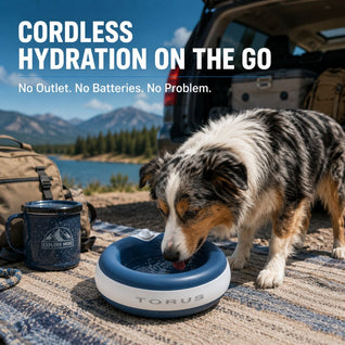 Komavic Cordless Self-Filling Pet Water Bowl