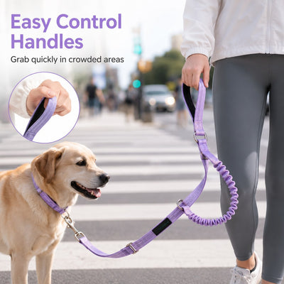 Hands-Free Shock-Absorbing Dog Leash for Running, Walking & Car Travel - Bungee Leash Helps Reduce Pulling