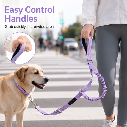 Hands-Free Shock-Absorbing Dog Leash for Running, Walking & Car Travel - Bungee Leash Helps Reduce Pulling