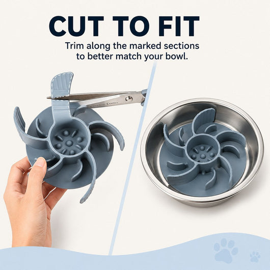 Slow Feeder Insert with Spiral Design & Suction Cups