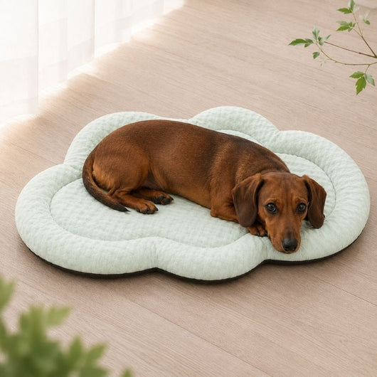 Komavic Cloud-Shaped Cooling Dog Mat