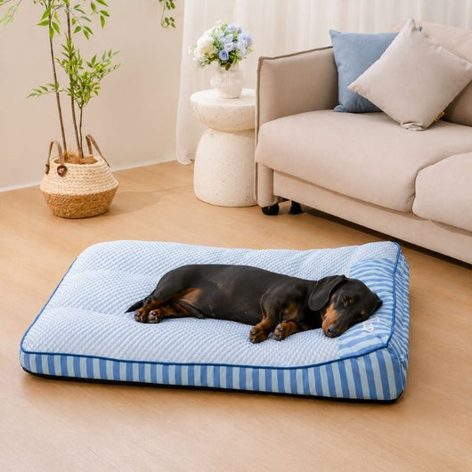 Komavic Cooling Orthopedic Dog Bed with Raised Headrest